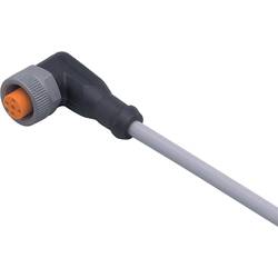 ifm Electronic EVW007 Přívodní kabel, EVW007, piny: 5, 2 m, 1 ks