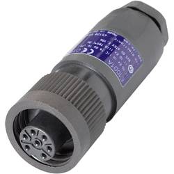 ifm Electronic E1001A neupravený zástrčkový konektor pro senzory - aktory, E1001A, piny: 7, 1 ks