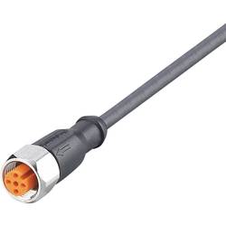 ifm Electronic EVM068 Přívodní kabel, EVM068, piny: 5, 2 m, 1 ks