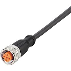 ifm Electronic EVC644 Přívodní kabel, EVC644, piny: 5, 2 m, 1 ks