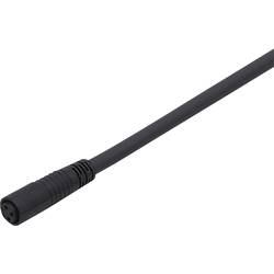 ifm Electronic E10268 Přívodní kabel, E10268, piny: 3, 5 m, 1 ks