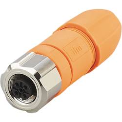 ifm Electronic EVC810 neupravený zástrčkový konektor pro senzory - aktory, EVC810, piny: 5, 1 ks