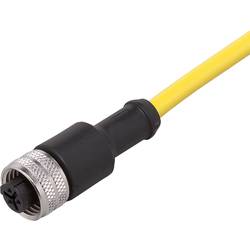 ifm Electronic E10191 Přívodní kabel, E10191, piny: 3, 5 m, 1 ks