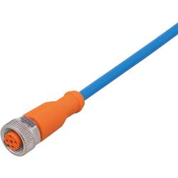 ifm Electronic ENC01A Přívodní kabel, ENC01A, piny: 5, 2 m, 1 ks