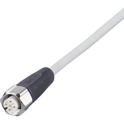 ifm Electronic EVF464 Přívodní kabel, EVF464, piny: 5, 25 m, 1 ks