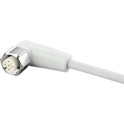 ifm Electronic EVF015 Přívodní kabel, EVF015, piny: 5, 25 m, 1 ks