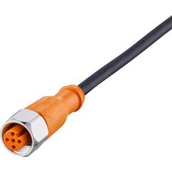 ifm Electronic EVM014 Přívodní kabel, EVM014, piny: 5, 25 m, 1 ks
