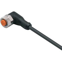 ifm Electronic EVC091 Přívodní kabel, EVC091, piny: 5, 25 m, 1 ks