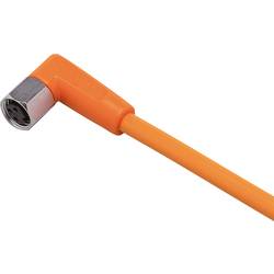ifm Electronic EVT129 Přívodní kabel, EVT129, piny: 3, 25 m, 1 ks