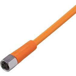 ifm Electronic EVT125 Přívodní kabel, EVT125, piny: 3, 25 m, 1 ks
