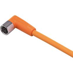 ifm Electronic EVT141 Přívodní kabel, EVT141, piny: 4, 25 m, 1 ks