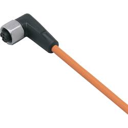 ifm Electronic EVT009 Přívodní kabel, EVT009, piny: 5, 25 m, 1 ks