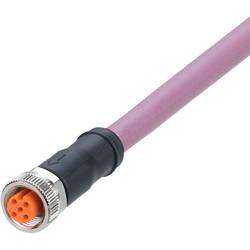 ifm Electronic EVC957 Přívodní kabel, EVC957, piny: 5, 2 m, 1 ks