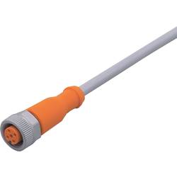 ifm Electronic EVW012 Přívodní kabel, EVW012, piny: 5, 10 m, 1 ks