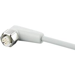 ifm Electronic EVF006 Přívodní kabel, EVF006, piny: 5, 25 m, 1 ks
