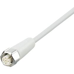 ifm Electronic EVF003 Přívodní kabel, EVF003, piny: 5, 25 m, 1 ks