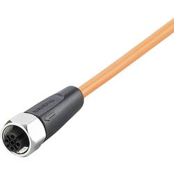 ifm Electronic EVT464 Přívodní kabel, EVT464, piny: 5, 25 m, 1 ks