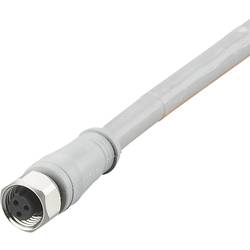 ifm Electronic E18232 Přívodní kabel, E18232, piny: 3, 5 m, 1 ks