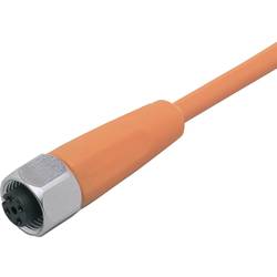 ifm Electronic EVT065 Přívodní kabel, EVT065, piny: 5, 30 m, 1 ks