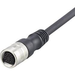 ifm Electronic E11809 Přívodní kabel, E11809, piny: 14, 10 m, 1 ks
