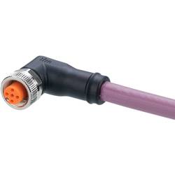 ifm Electronic EVC961 Přívodní kabel, EVC961, piny: 5, 10 m, 1 ks