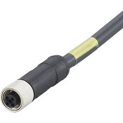 ifm Electronic E12496 Přívodní kabel, E12496, piny: 4, 10 m, 1 ks