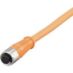 ifm Electronic E12409 Přívodní kabel, E12409, piny: 8, 70 m, 1 ks