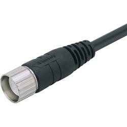 ifm Electronic E11737 Přívodní kabel, E11737, piny: 12, 10 m, 1 ks