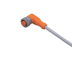 ifm Electronic EVW166 Přívodní kabel, EVW166, piny: 5, 30 m, 1 ks