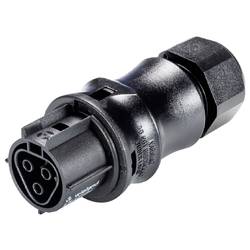Wieland Electric X6.031.4053.1 konektor