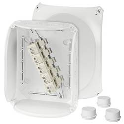 Hensel 62000016 rozbočovací krabice (d x š x v) 112 x 255 x 205 mm šedobílá (RAL 7035) IP65, IP55 1 ks