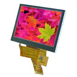 Display Elektronik grafický displej bílá 480 x 272 Pixel (š x v x h) 105.50 x 67.20 x 4.6 mm