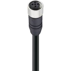 Belden 0935 253 105/5M datový zástrčkový konektor pro senzory - aktory, upravený, 10974-1, piny: 5, 5.00 m, 1 ks