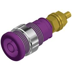 SKS Hirschmann SEB 2600 G M4 bezpečnostní laboratorní zásuvka zásuvka, vestavná vertikální Ø pin: 4 mm fialová 1 ks