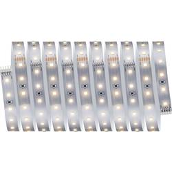 Paulmann MaxLED 500 71231 LED pásek základní sada 230 V 3 m teplá bílá 1 sada