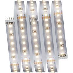 Paulmann MaxLED 1000 Basisset 71243 LED pásek základní sada konektor 230 V 1.5 m teplá bílá 1 sada