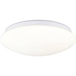 Paulmann 75406 Leonis II IP44 3000 - 5700K 1750lm 230V 16,5W dimmbar stropní svítidlo LED 16.5 W bílá
