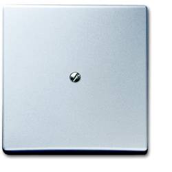 ABB 2138-33 záslepka hliník, bílá hliníková (RAL 9006) 2CKA001710A3800