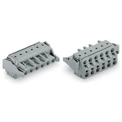 WAGO 231 zásuvkový konektor na kabel 4, rozteč 7.50 mm, 231-2204/037-000, 50 ks