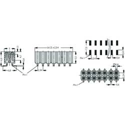 Fischer Elektronik zásuvková lišta Počet řádků: 2 Počet kontaktů v řadě: 20 10027118 1 ks
