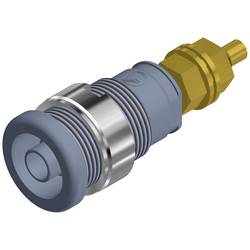 SKS Hirschmann SEB 2600 G M4 bezpečnostní laboratorní zásuvka zásuvka, vestavná vertikální Ø pin: 4 mm šedá 1 ks