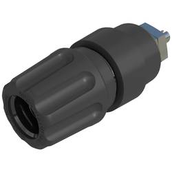 Hirschmann Test & Measurement PKNI 10 B pólová svorka černá 63 A 1 ks