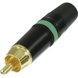 Rean AV NYS373-5 cinch konektor zástrčka, rovná Pólů: 2 černá, zelená 1 ks