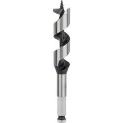 Bosch Accessories 2608585706 hadovitý vrták 22 mm Celková délka 160 mm šestihran 1 ks