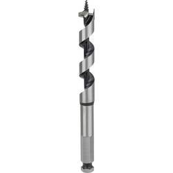 Bosch Accessories 2608585702 hadovitý vrták 15 mm Celková délka 160 mm šestihran 1 ks