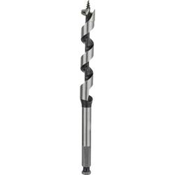 Bosch Accessories 2608585700 hadovitý vrták 13 mm Celková délka 160 mm šestihran 1 ks
