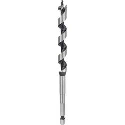 Bosch Accessories 2608585698 hadovitý vrták 11 mm Celková délka 160 mm šestihran 1 ks