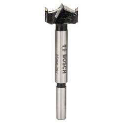 Bosch Accessories 2608597607 Foersterův vrták, čelní fréza 25 mm Celková délka 90 mm válcová stopka 1 ks