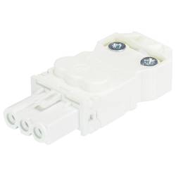 Wieland Electric 91.931.3053.0 konektor