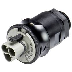 Wieland Electric 96.032.6054.3 Přístrojová přípojka